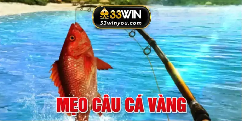 Mẹo chơi câu cá vàng luôn thắng