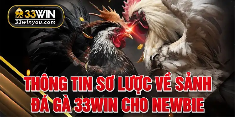 Thông tin sơ lược về sảnh đá gà 33win cho newbie 